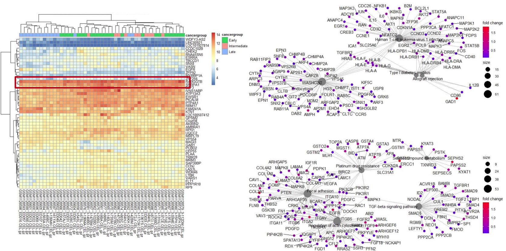 project thumbnail